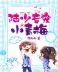 陆少专宠小青梅笔趣阁