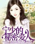 宁少的秘密爱人笔趣阁