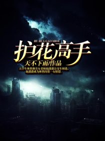 护花高手笔趣阁