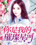 你是我的璀璨星河笔趣阁