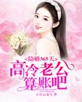 隐婚365天：高冷老公算账吧笔趣阁