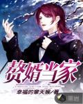 赘婿当家笔趣阁
