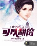 我的收入可以翻倍笔趣阁