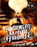 神级系统从小猫开始进化笔趣阁