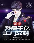 都市：我是千亿上门女婿笔趣阁