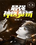最强神医赘婿笔趣阁