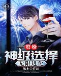 赘婿：神级选择无限进化笔趣阁