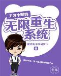 王者小明的无限重生系统笔趣阁