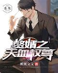 赘婿之天血权尊笔趣阁