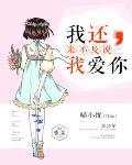我还来不及说我爱你笔趣阁