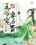 逆天王妃：王爷宠妻为贵笔趣阁
