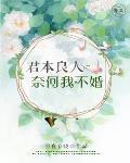 君本良人，奈何我不婚笔趣阁