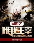 网游之唯我主宰笔趣阁
