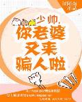 少帅：你老婆又来骗人啦笔趣阁