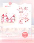 初恋是颗夹心糖笔趣阁
