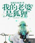 我的老婆是狐狸笔趣阁