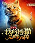 漫威之我的橘猫是噬元兽笔趣阁