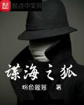 谍海之狐笔趣阁