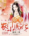 娇宠农门小医妃笔趣阁