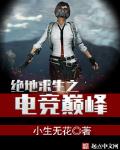 绝地求生之电竞巅峰笔趣阁