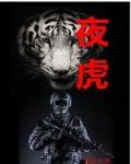 夜虎笔趣阁