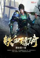 铁血骠骑笔趣阁