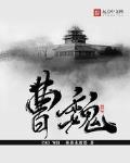曹魏笔趣阁