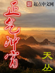 正气冲宵笔趣阁