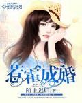 惹霍成婚笔趣阁