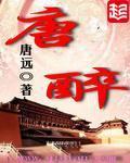 唐醉笔趣阁