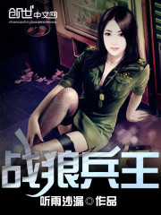 战狼兵王笔趣阁