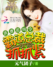 逃妻追缉令：霸道总裁抓抓紧笔趣阁