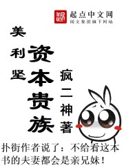 美利坚资本贵族笔趣阁