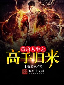 重启人生之高手归来笔趣阁