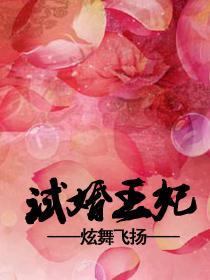 试婚王妃笔趣阁