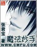 魔法炒手笔趣阁