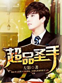 超品圣手笔趣阁