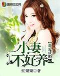 惹爱成婚：小妻不好养笔趣阁