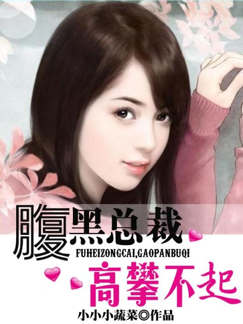 腹黑总裁，高攀不起笔趣阁