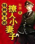 特种军王的撩人小妻子笔趣阁