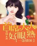 一念情深，首席大人好眼熟笔趣阁