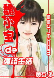 魏小宝的强盗生活笔趣阁