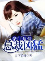 豪门危情：总裁凶猛笔趣阁