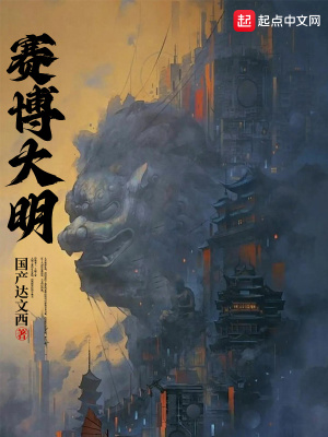 赛博大明笔趣阁