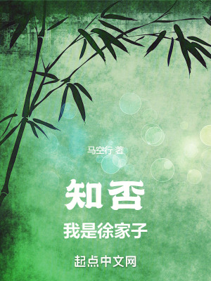知否：我是徐家子笔趣阁