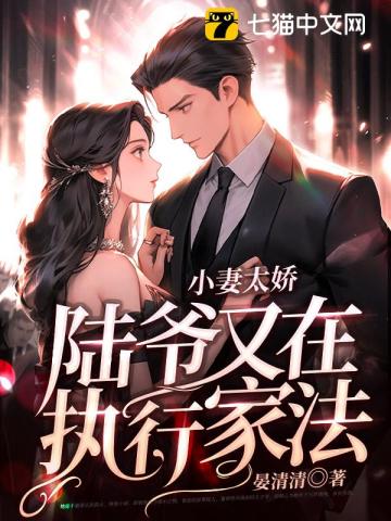 小妻太娇，陆爷又在执行家法笔趣阁