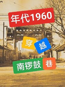 年代1960：穿越南锣鼓巷，笔趣阁