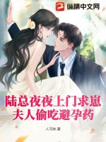 陆总夜夜上门求崽,夫人偷吃避孕药笔趣阁