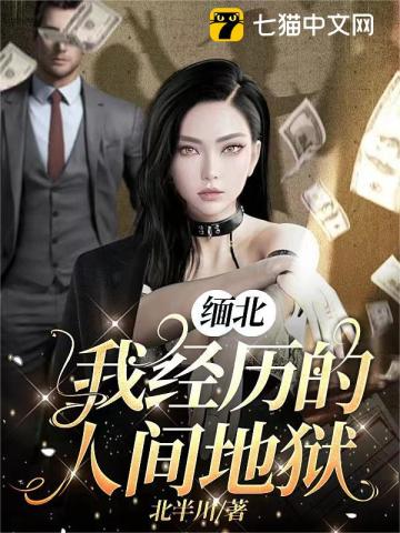 缅北，我经历的人间地狱笔趣阁