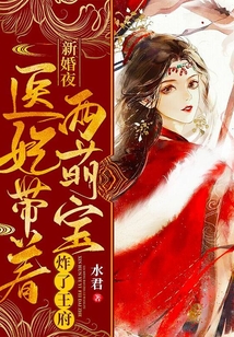 新婚夜，医妃带着两萌宝炸了王府笔趣阁